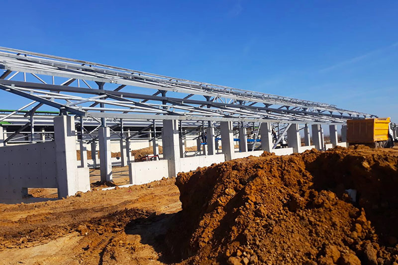 Trakya Hayvan Çiftliği Lüleburgaz 2